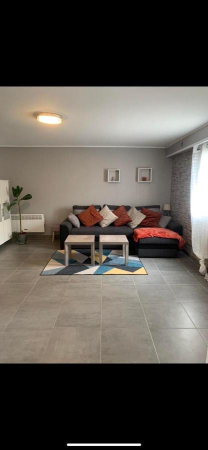 Convivialetzen Apartment Chatenoy-le-Royal Exterior photo